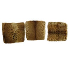 Trio of Authentic Fuzzy Wuzzy Bobcat Pillows