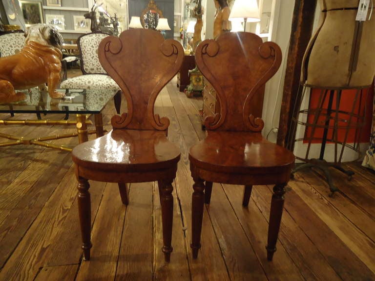 English Very Elegant Regency Hall Chairs