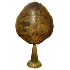 Large Antique Tortoise Shell on Brass Base