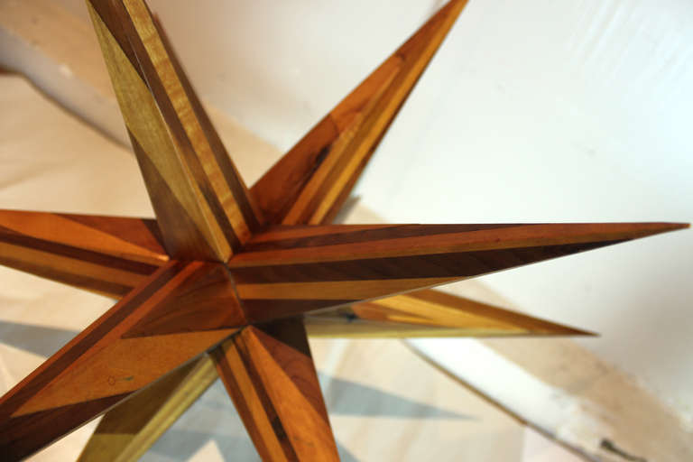 Moravian Star Whimsy 1