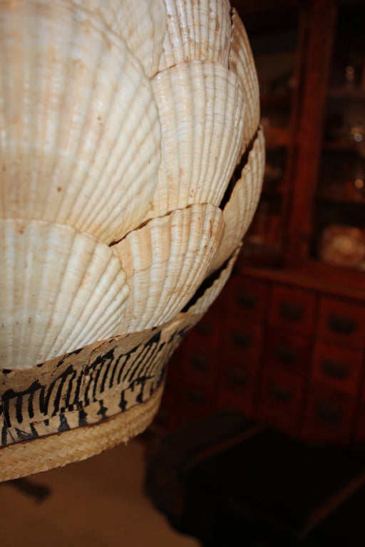 Mid-Century Modern Seashell Chandelier For Sale