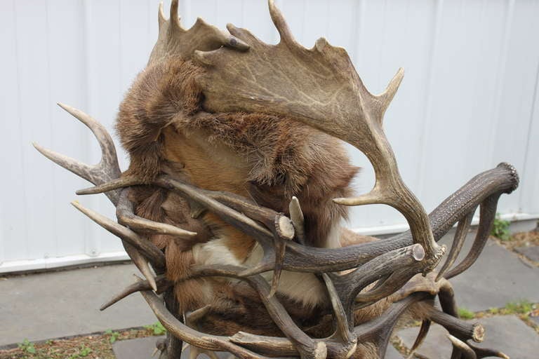 19th Century Antler Chairs