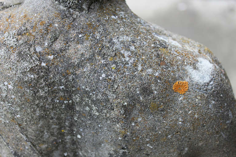Garden Statue of David 1