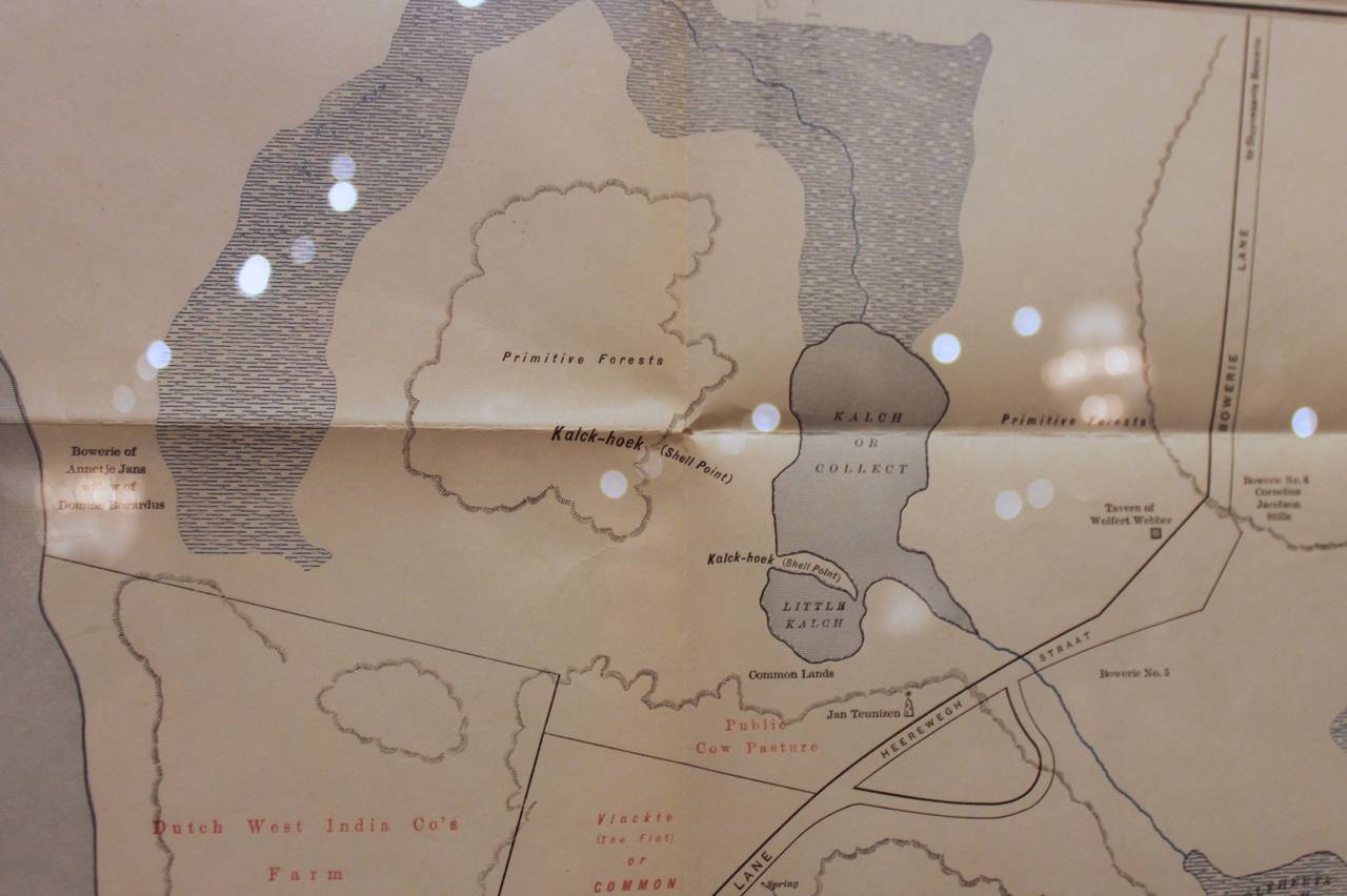 Paper Framed Map of Old New York (Amsterdam in New Netherland)