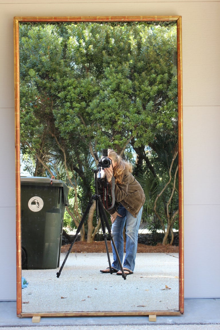 Large rectangular dore Louis Philippe Period mirror