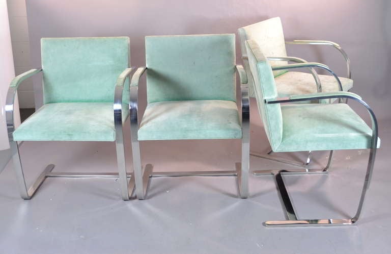 Four Mies Van Der Rohe Brno Chairs for Knoll International