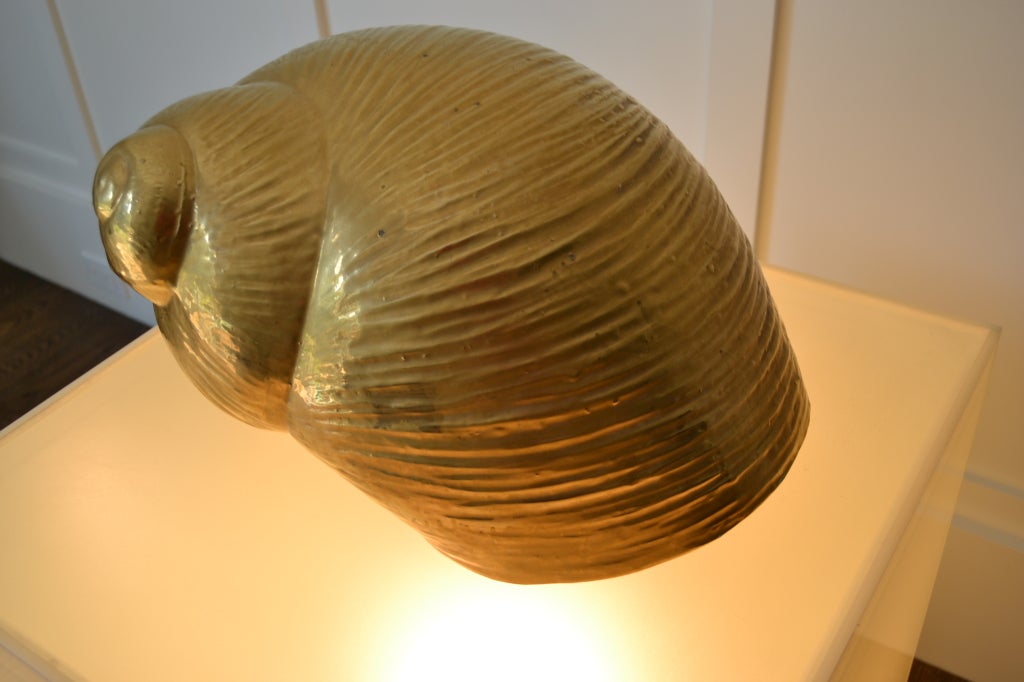 Giant Gold Porcelain Shell - Lorin Marsh 2