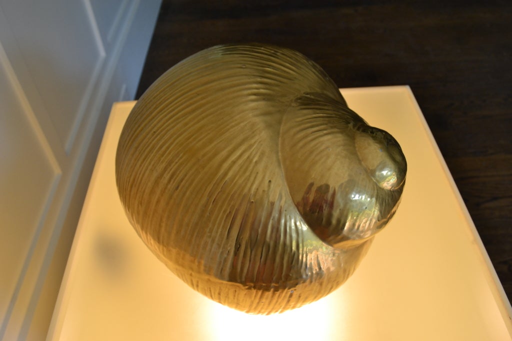 Giant Gold Porcelain Shell - Lorin Marsh 4