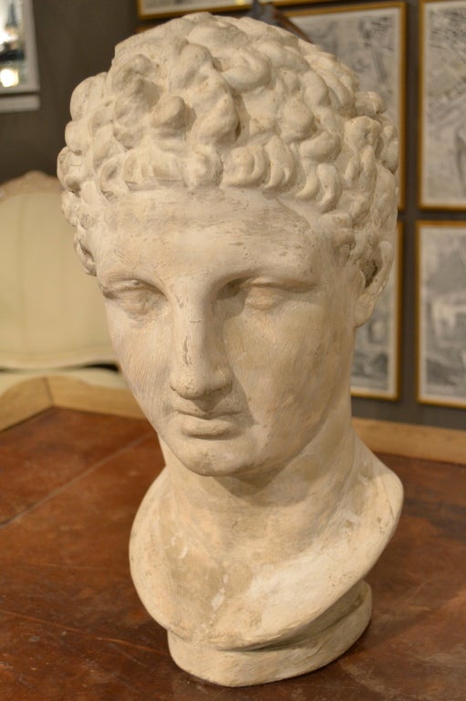 Grand Tour Heavy Plaster Head