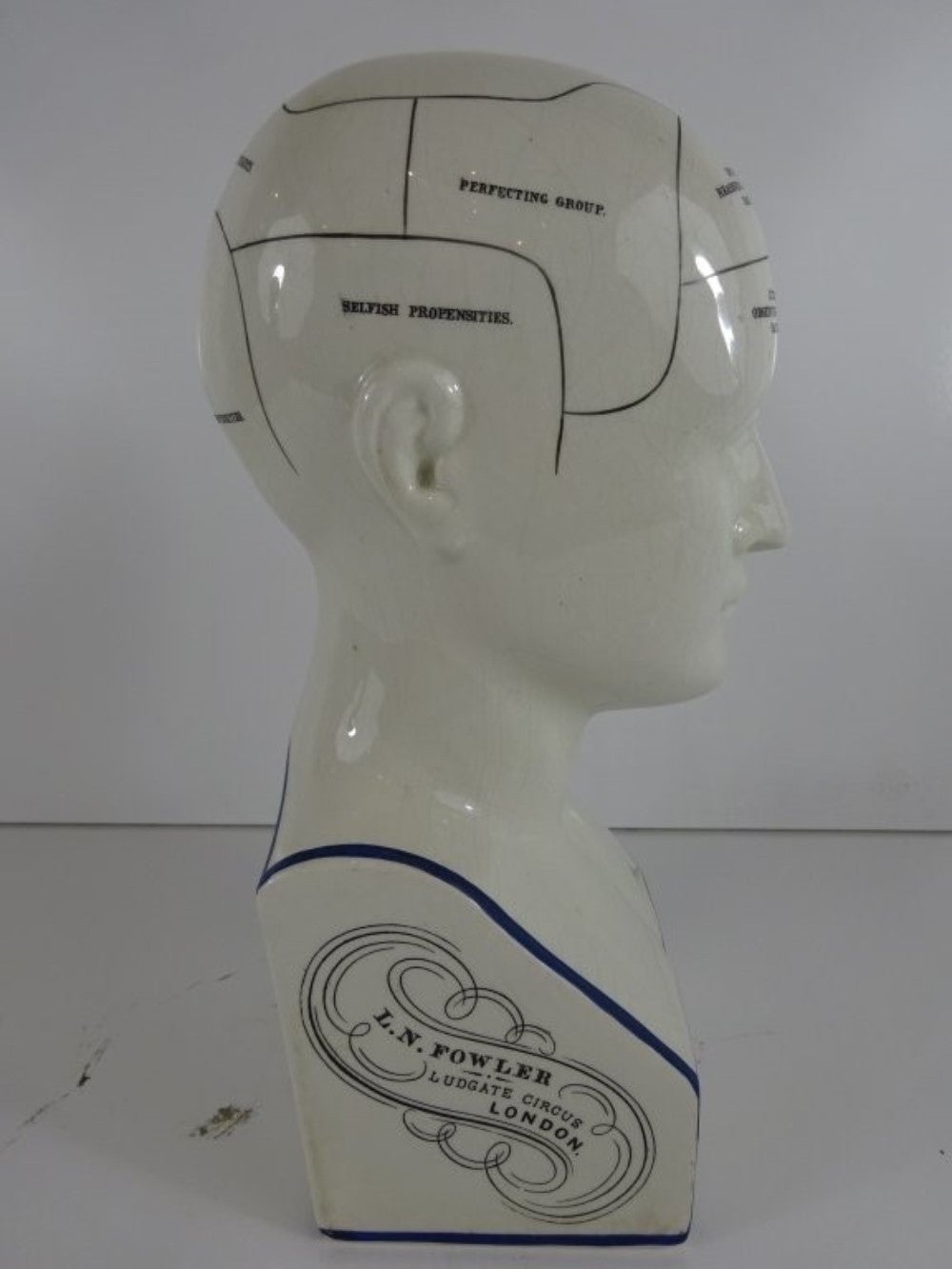 original fowler phrenology head