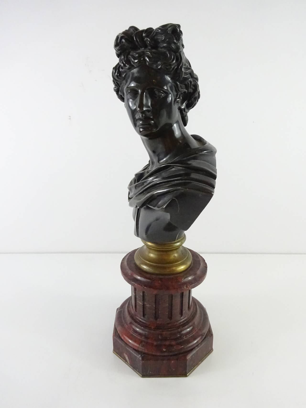 Apollo Belvedere Grand Tour Bronze Portrait Bust with Rouge Marble Base
