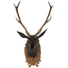 Antique Large Black Forest Carved Stag Head