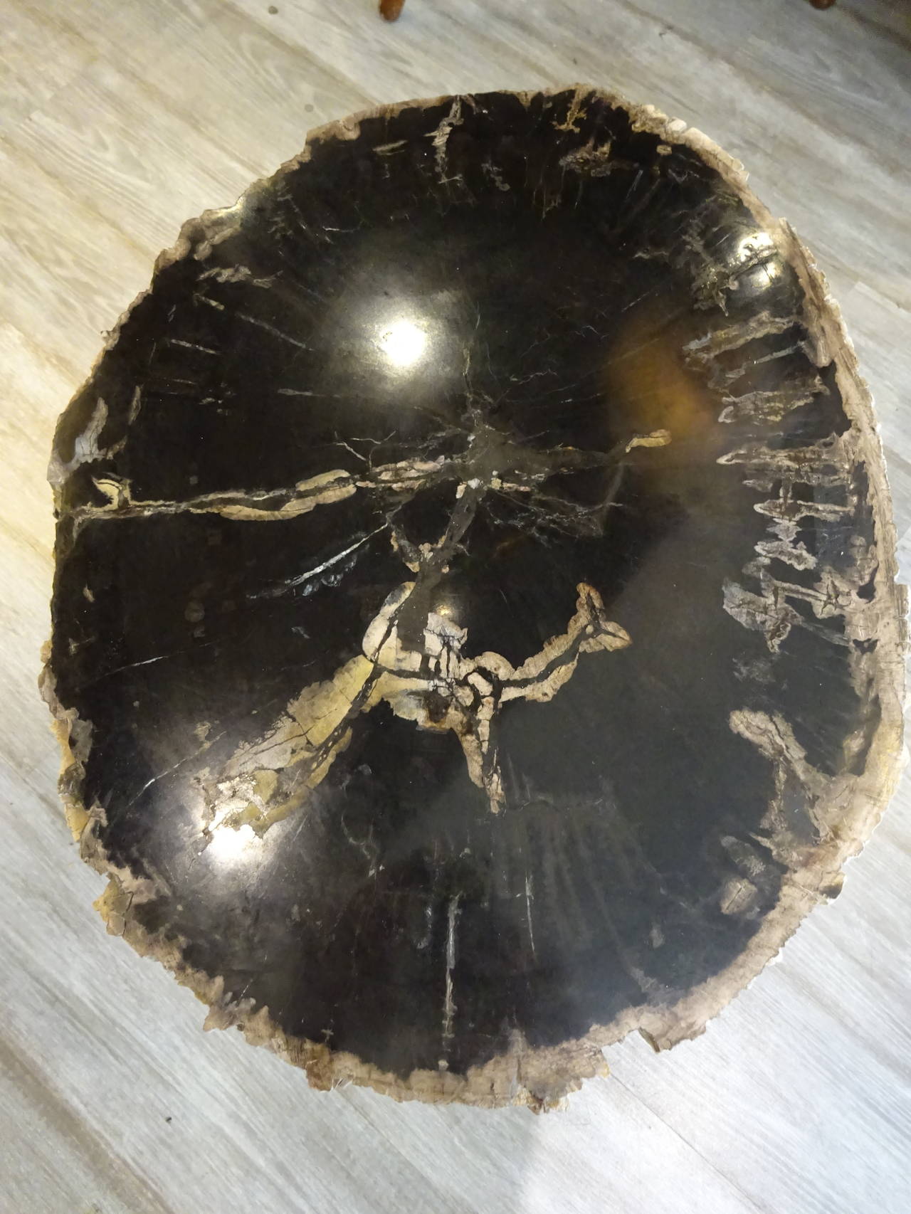 Indonesian Petrified Wood Tables with Steel 