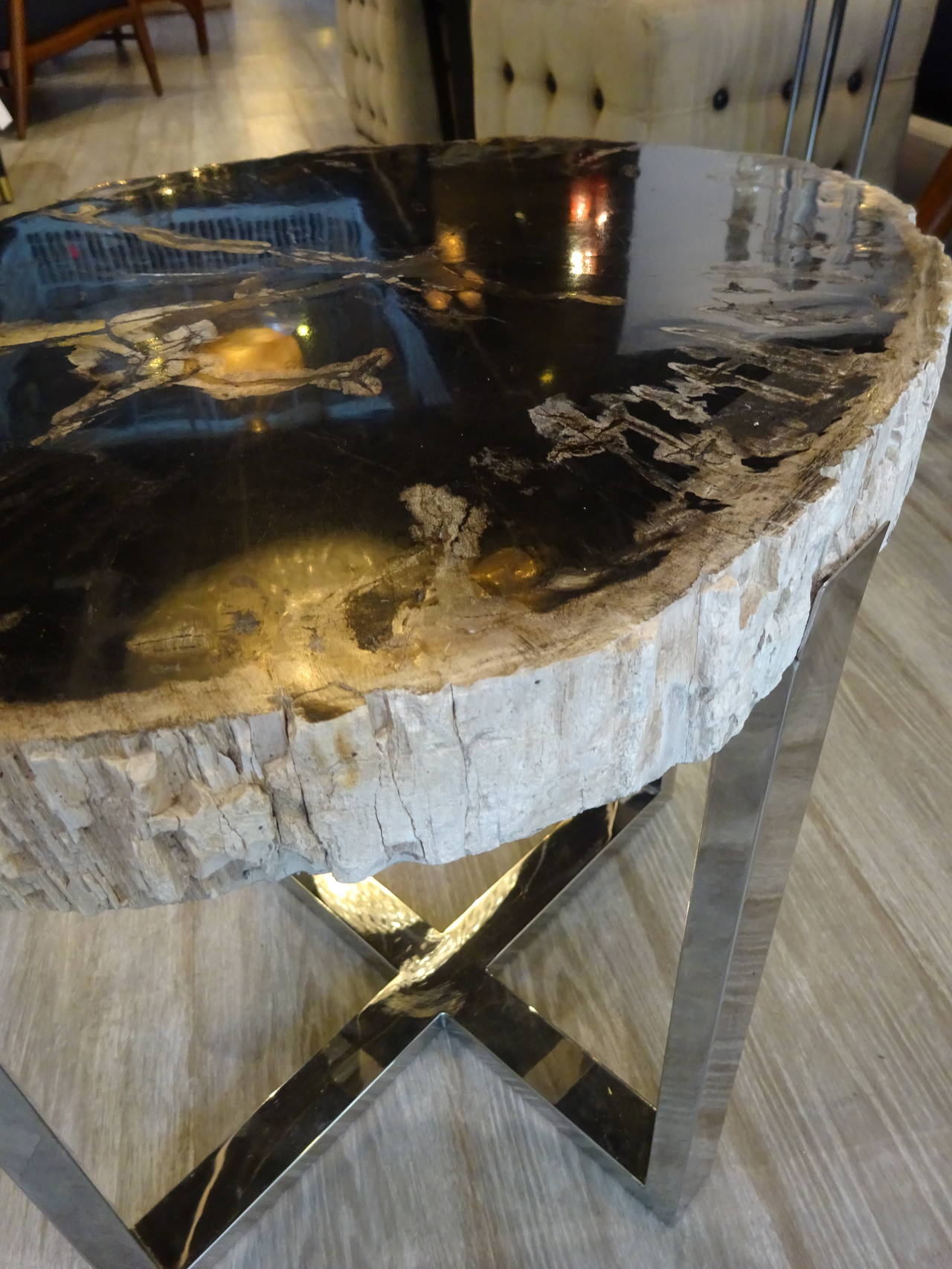 Organic Modern Petrified Wood Tables with Steel 