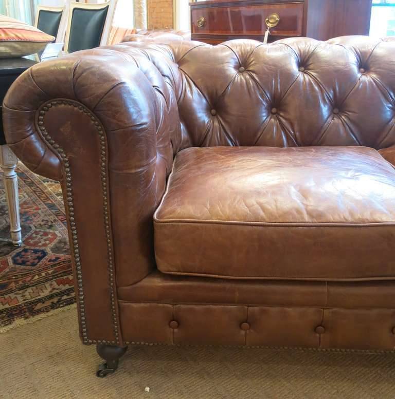 Refurbished English Leather Chesterfield Sofa. With rolled arms and backrest, with two cushions, raised on castors.  