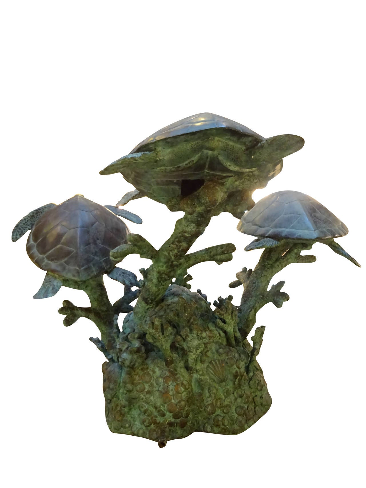 turtle water fountain