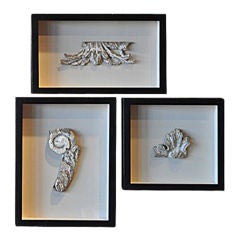 Antique Framed Italian Architectural Fragments