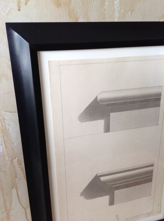 Morando Morando Watercolor of Architectural Mouldings