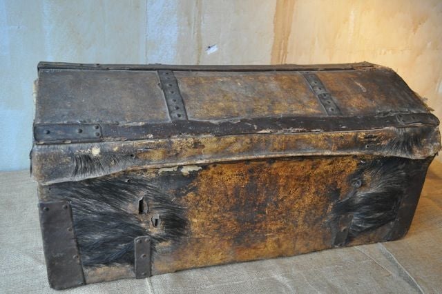 Italian Boar Hair Travelling Trunk