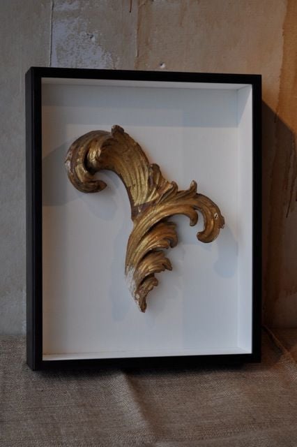Framed Italian Antique Scroll Fragment