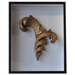 Framed Italian Antique Scroll Fragment