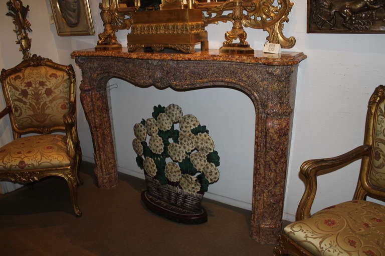 Charming 19th Century French Country Fireplace Screen In Excellent Condition For Sale In San Francisco, CA