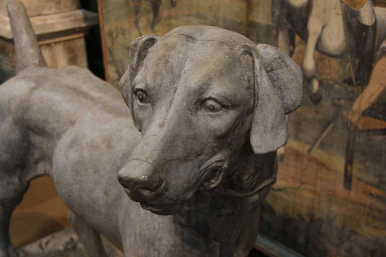 An extremely rare 19th century English short haired Pointer, made of spelter and standing atop a patch of foliage.