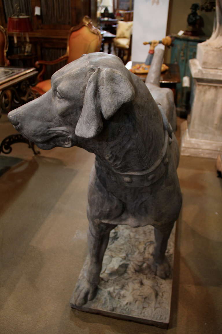 Extremely Rare 19th Century English Short Haired Pointer In Excellent Condition For Sale In San Francisco, CA