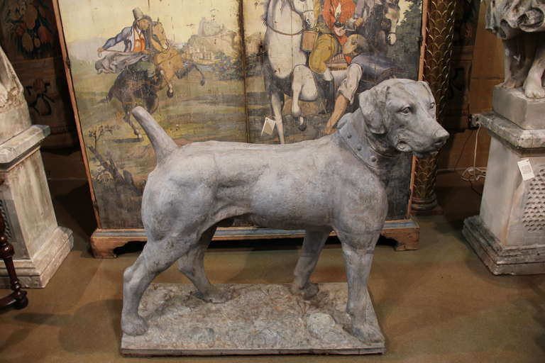 Extremely Rare 19th Century English Short Haired Pointer For Sale 1