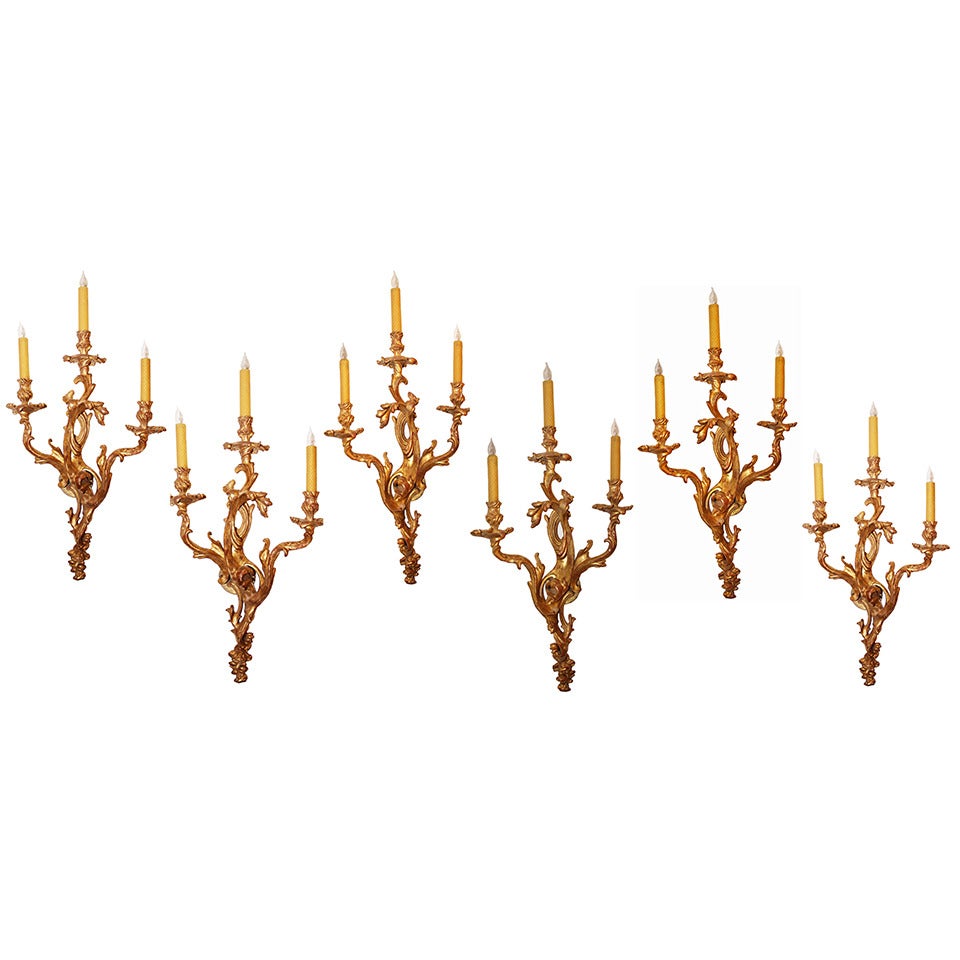 Set of Six 19th Century Italian Giltwood Sconces For Sale