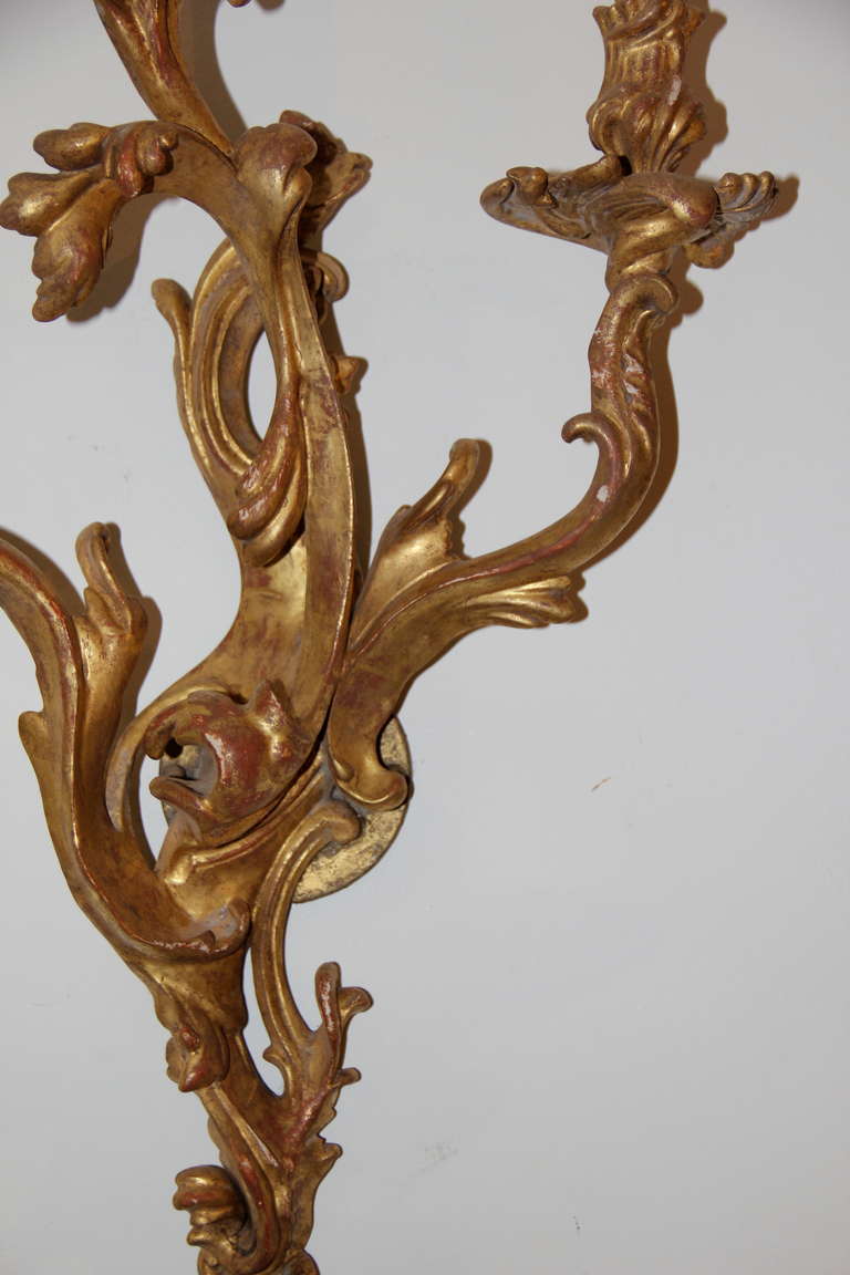 Set of Six 19th Century Italian Giltwood Sconces In Excellent Condition For Sale In San Francisco, CA