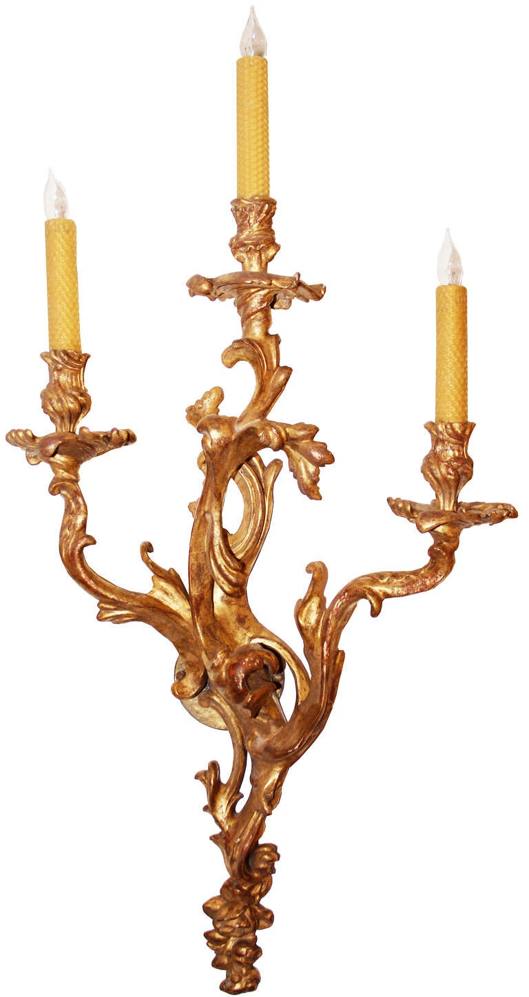 A set of six 19th century Italian giltwood sconces, each with three lights (now electrified) extending from acanthus leaf arms and terminating in floral accents at the bases.