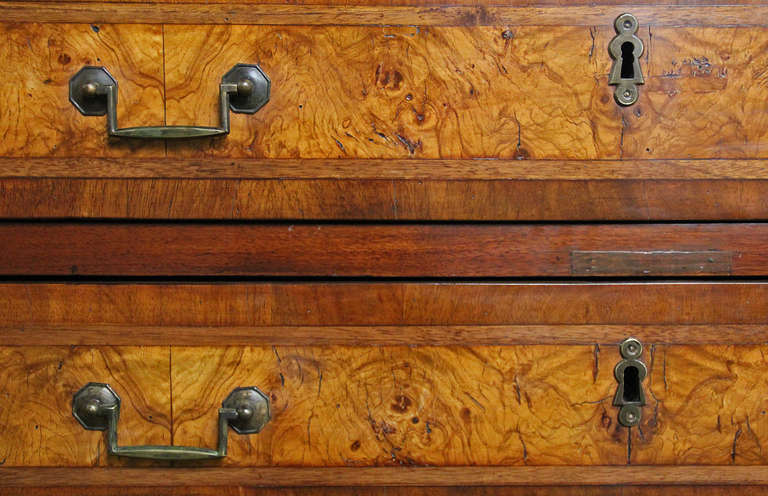18th Century and Earlier 18th Century Louis XVI Olivewood and Walnut Chest of Drawers For Sale