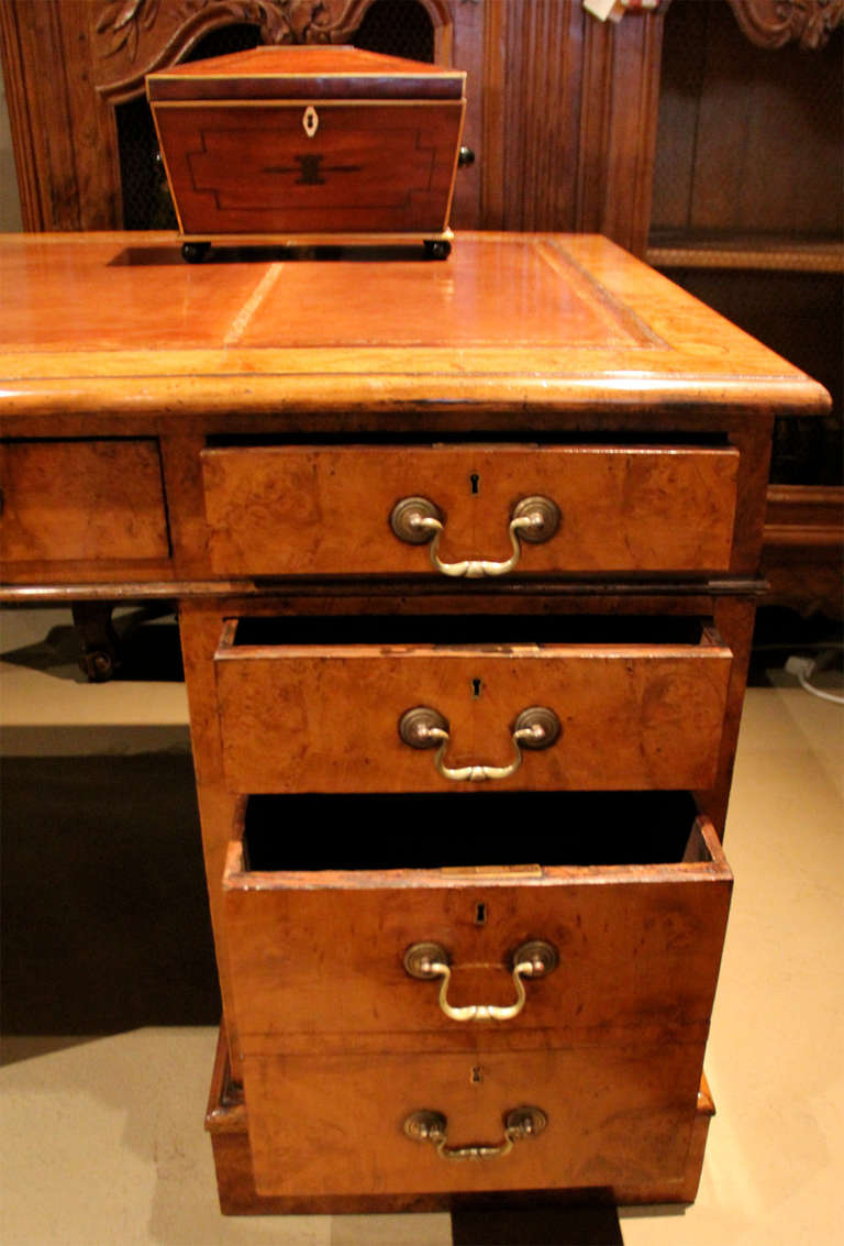 A 19th c. English Regency Burl Walnut Desk 2