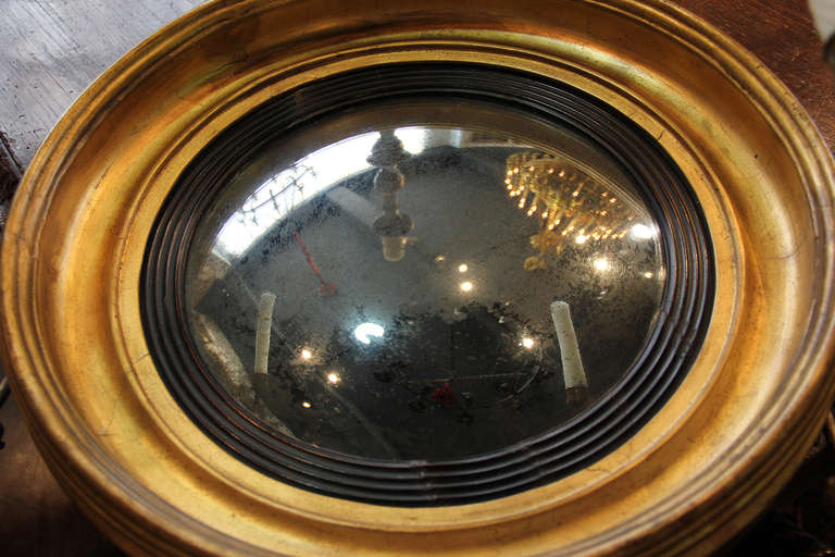 19th Century English Regency Convex Mirror For Sale 5