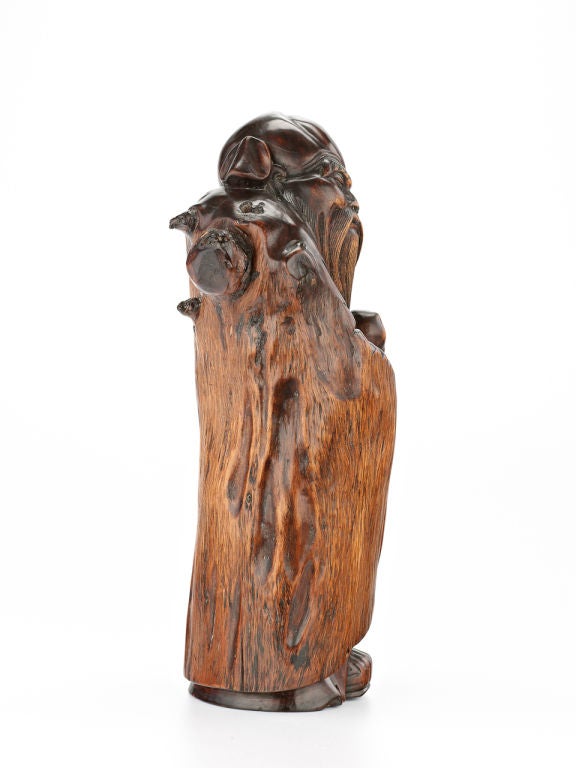 A root-wood carving of Shoulao For Sale 4