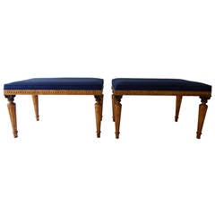 Pair of Neoclassic Benches