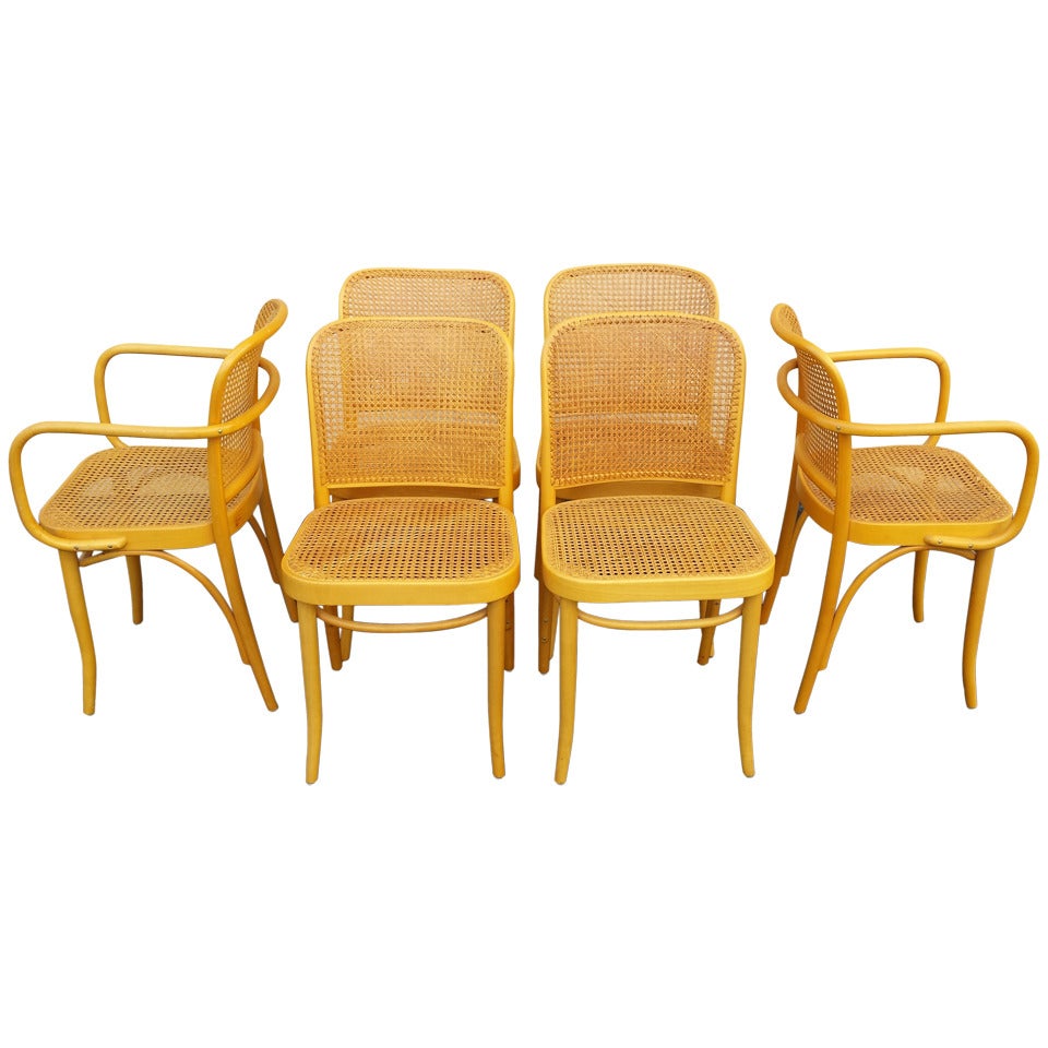 Josef Hoffmann, Czechoslovakia Bentwood and Cane Set of 6 Chairs