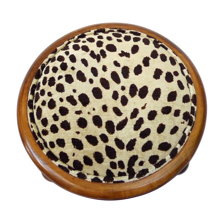 A sassy faux leopard clad footstool. Mahogany wood surround with bun feet.