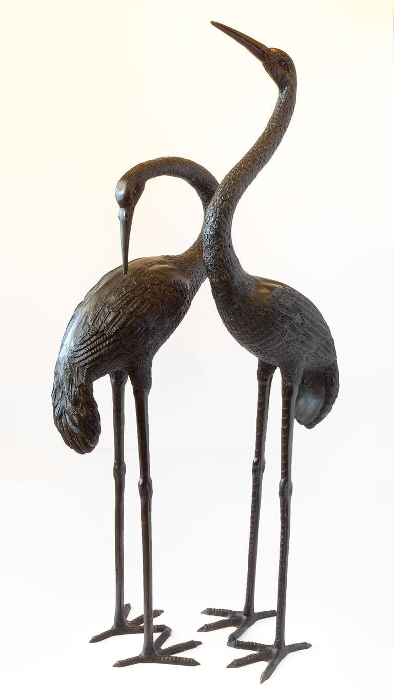 Beautifully detailed cranes of cast bronze or brass. The strong and graceful lines of these birds would enhance either a garden or interior space. The dimensions of the larger crane are below. The smaller crane measures 50
