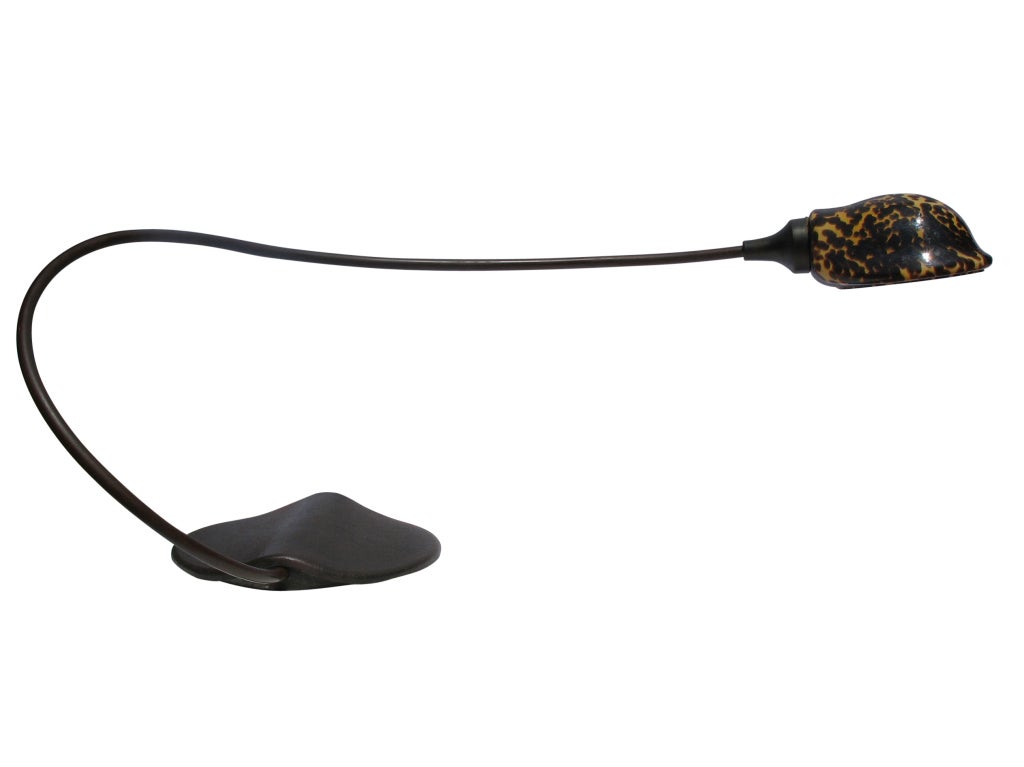American Tortoise Lamp