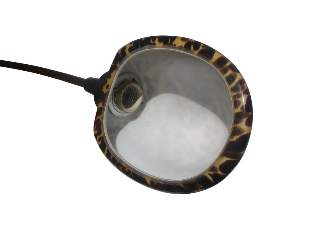 Metal Tortoise Lamp