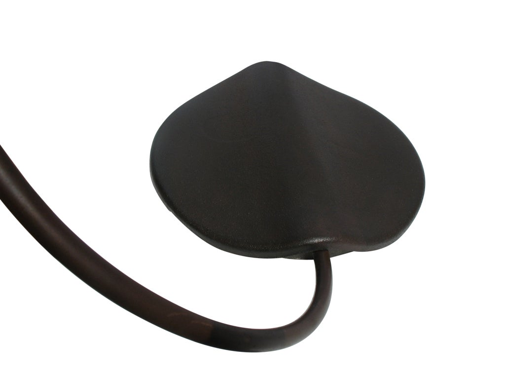 Tortoise Lamp 1