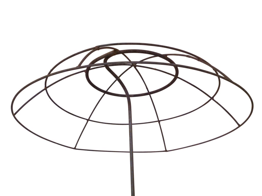 This is a large and very sculptural garden ornament used for training plants into an umbrella shape.  While it was originally intended as a garden topiary, it also has great potential as an indoor art form.