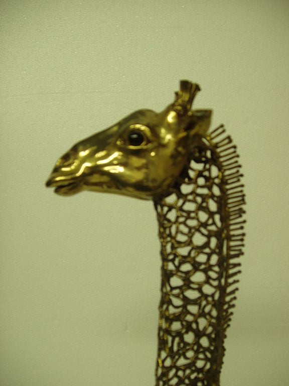 Mexican Bustamonte giraffe For Sale