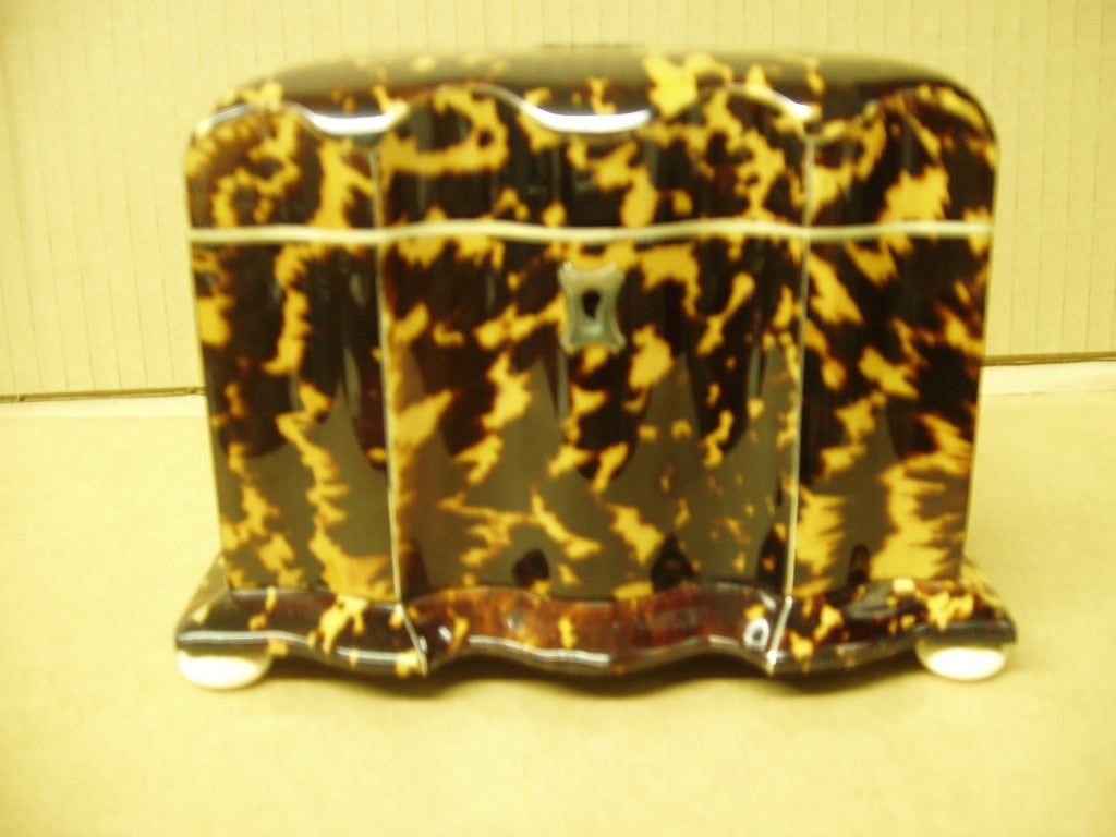 Tortoise shell tea caddy