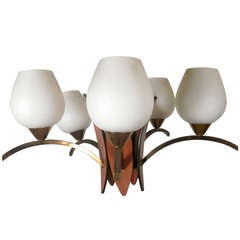 Elegant Mid-Century Chandelier