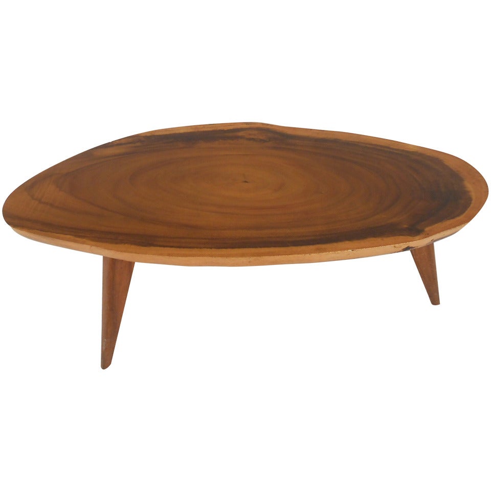Tree Slab Coffee Table