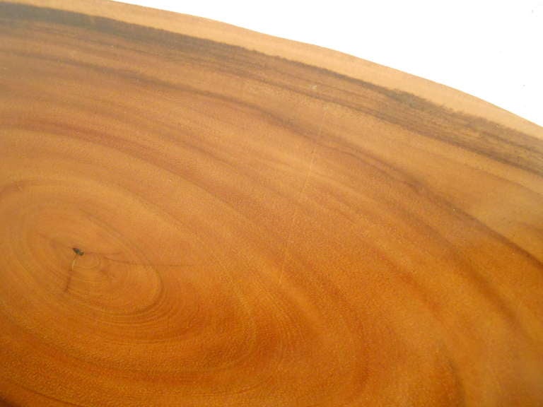 20th Century Tree Slab Coffee Table
