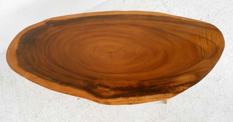 Wood Tree Slab Coffee Table